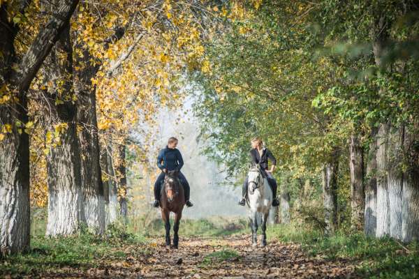 EQUITATION